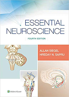 عکس Essential Neuroscience 2019